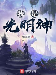 我是光明神类似的小说