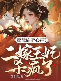 二嫁王妃说的什么