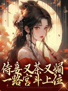 侍妾小说无弹窗