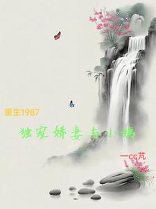 重生1987独宠娇妻与小姨