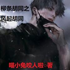 柳条胡同之风云二十年作者