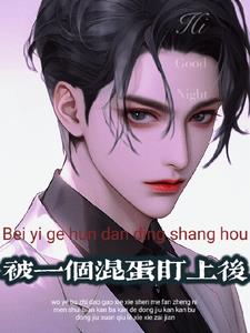 被一个混蛋盯上后小说完整版