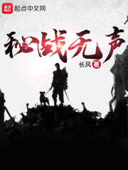 秘战无声完整版免费